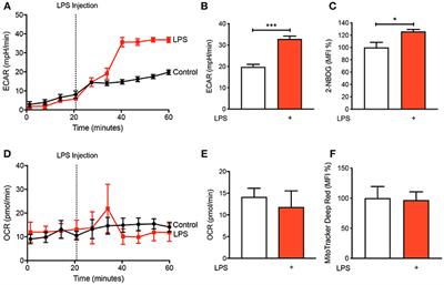 Glycolysis Is Required for LPS-Induced Activation and Adhesion of Human CD14+CD16− Monocytes